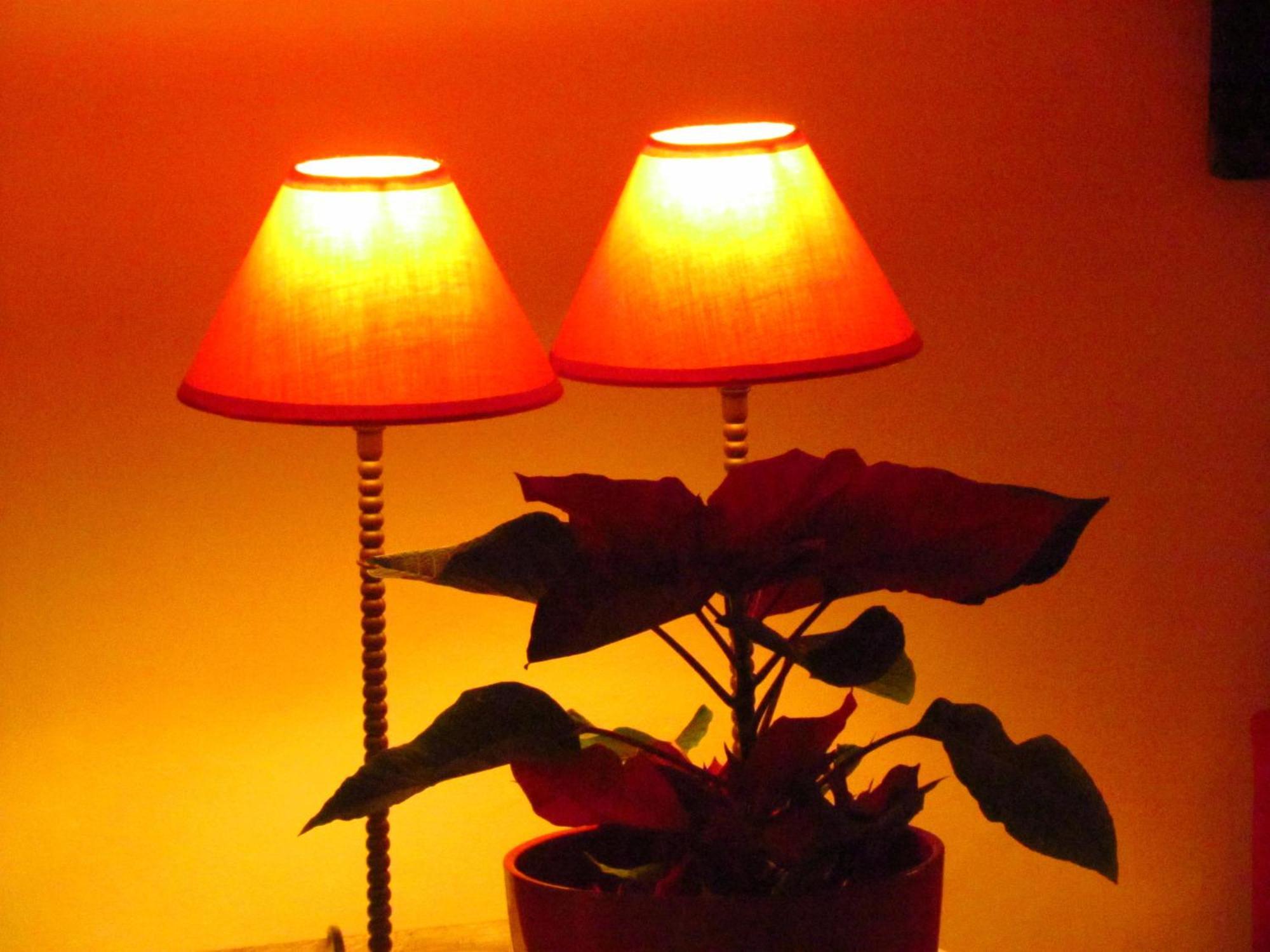 Casa Da Rua Nova Apartment กัสเตโลเจวีด ภายนอก รูปภาพ